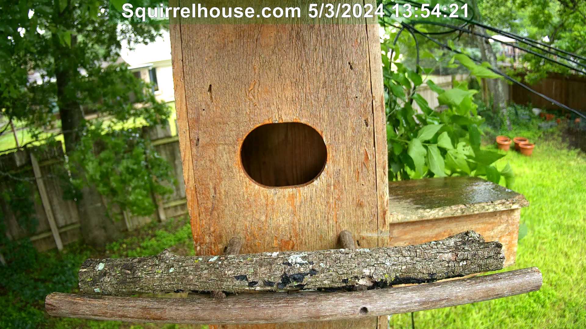 outside the screech owl egg nest box